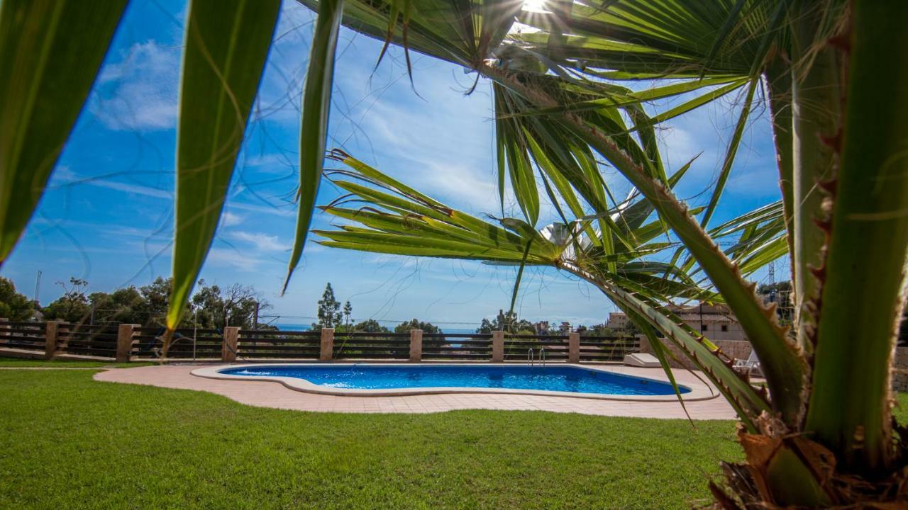 Villa Paradise Campello El Campello Exterior foto